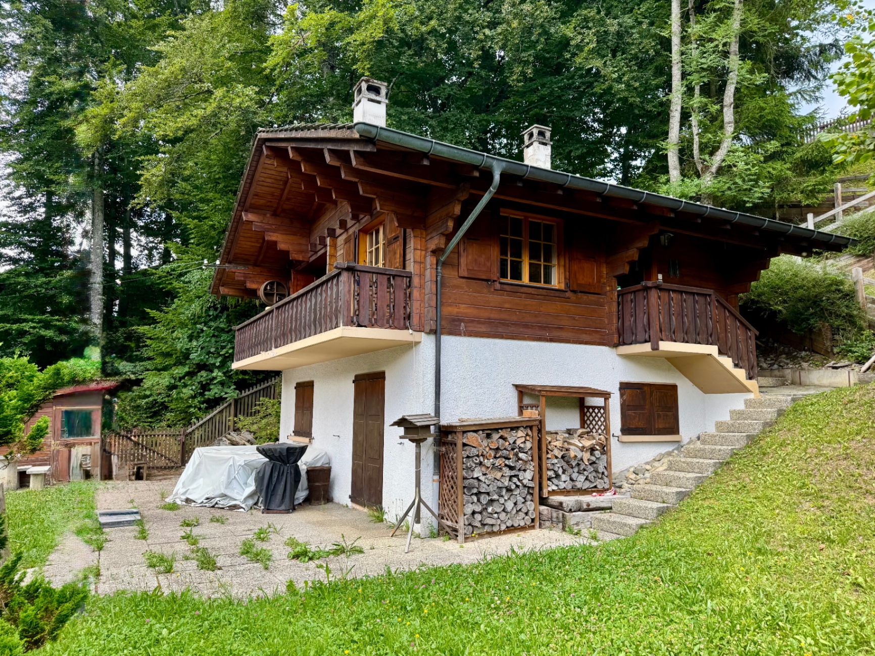 Chalet familial vue montagne à Gryon-Barboleuse 2