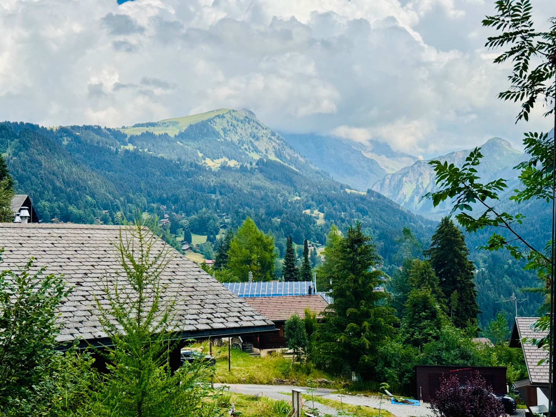 Chalet familial vue montagne à Gryon-Barboleuse 4